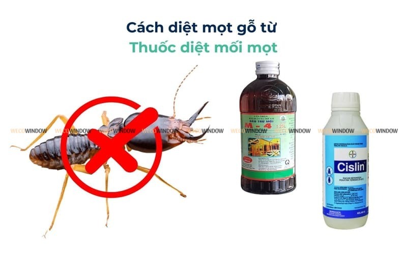 Diệt mối mọt bằng thuốc hoặc hóa chất.
